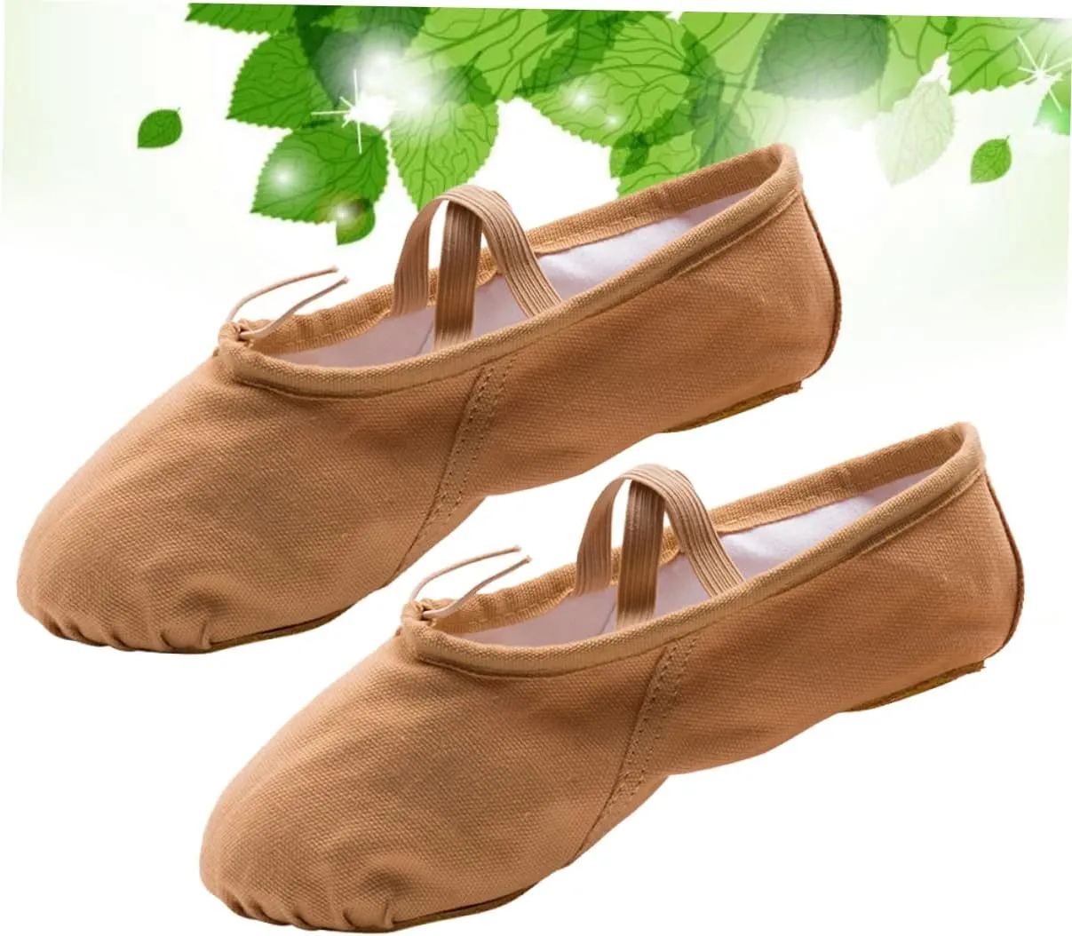 2 Pairs Shoes for Women Ballet Shoes for Women Dance Shoes Professional Ballet Shoes Yoga Shoes Ballet Pilates Shoes Sole Ballet Shoe Ballet Slipper Princess Flat Shoes