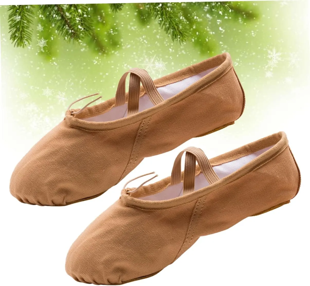 2 Pairs Shoes for Women Ballet Shoes for Women Dance Shoes Professional Ballet Shoes Yoga Shoes Ballet Pilates Shoes Sole Ballet Shoe Ballet Slipper Princess Flat Shoes