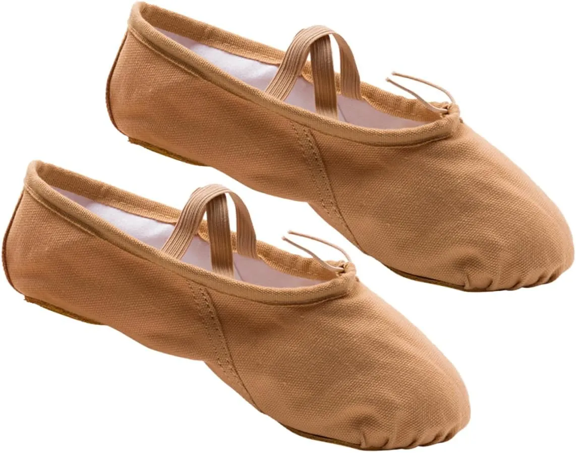 2 Pairs Shoes for Women Ballet Shoes for Women Dance Shoes Professional Ballet Shoes Yoga Shoes Ballet Pilates Shoes Sole Ballet Shoe Ballet Slipper Princess Flat Shoes