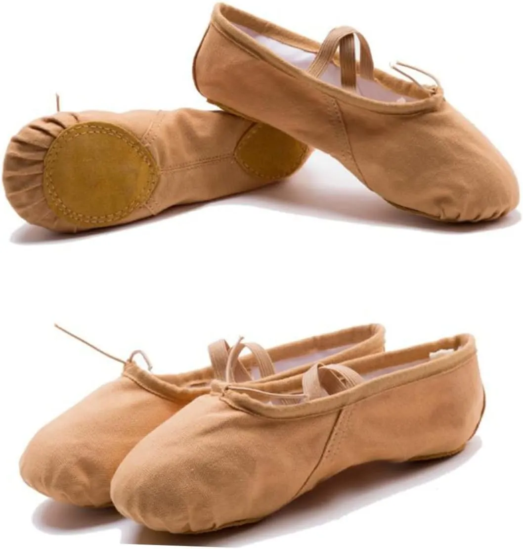 2 Pairs Shoes for Women Ballet Shoes for Women Dance Shoes Professional Ballet Shoes Yoga Shoes Ballet Pilates Shoes Sole Ballet Shoe Ballet Slipper Princess Flat Shoes