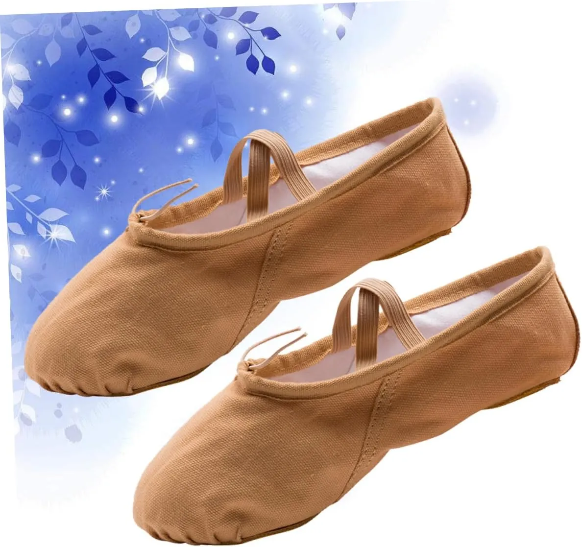 2 Pairs Shoes for Women Ballet Shoes for Women Dance Shoes Professional Ballet Shoes Yoga Shoes Ballet Pilates Shoes Sole Ballet Shoe Ballet Slipper Princess Flat Shoes