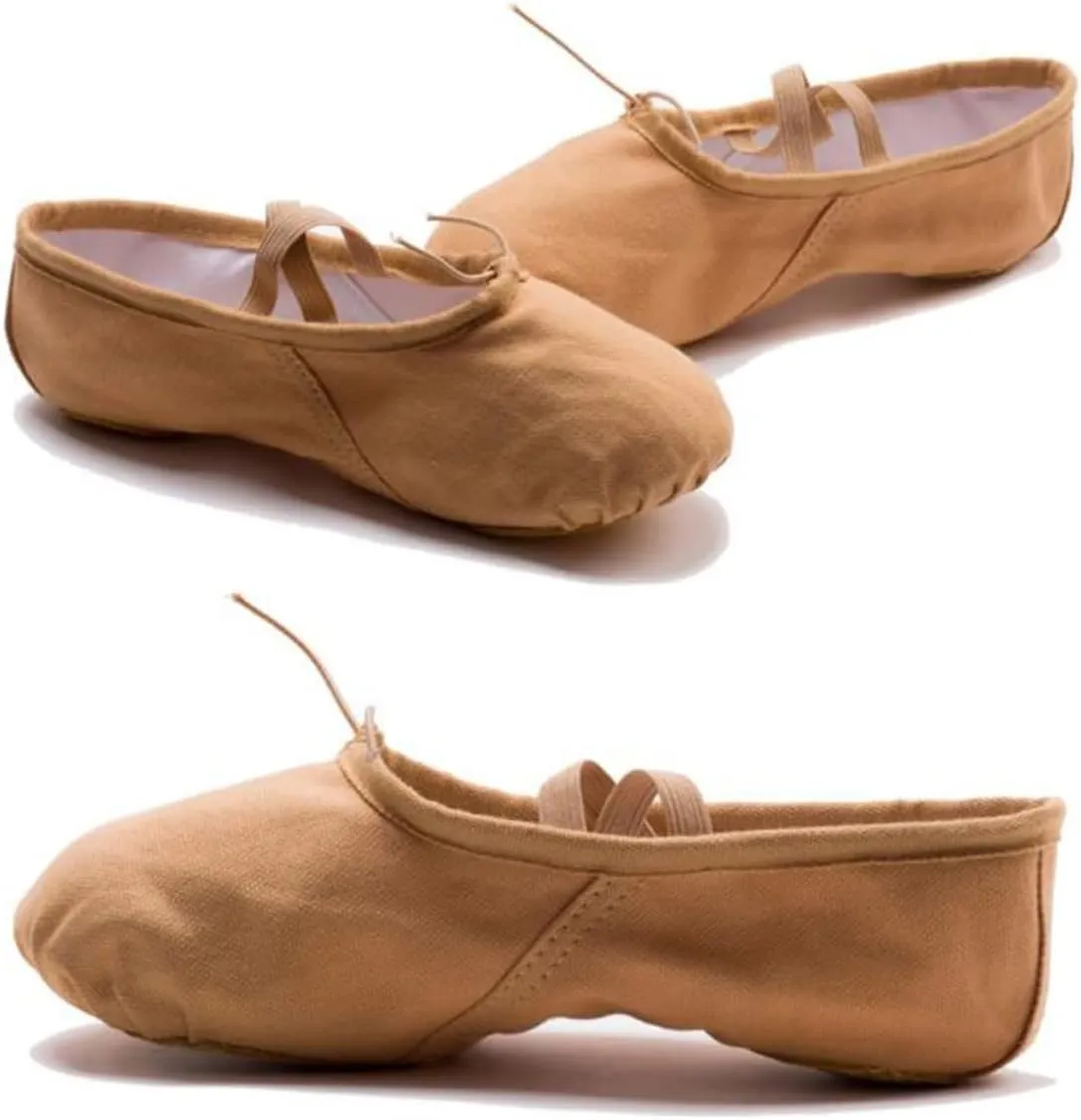 2 Pairs Shoes for Women Ballet Shoes for Women Dance Shoes Professional Ballet Shoes Yoga Shoes Ballet Pilates Shoes Sole Ballet Shoe Ballet Slipper Princess Flat Shoes
