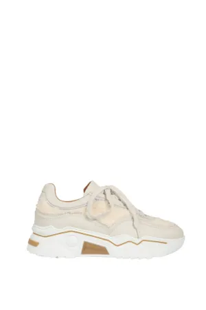 Moon Teddy Sneakers